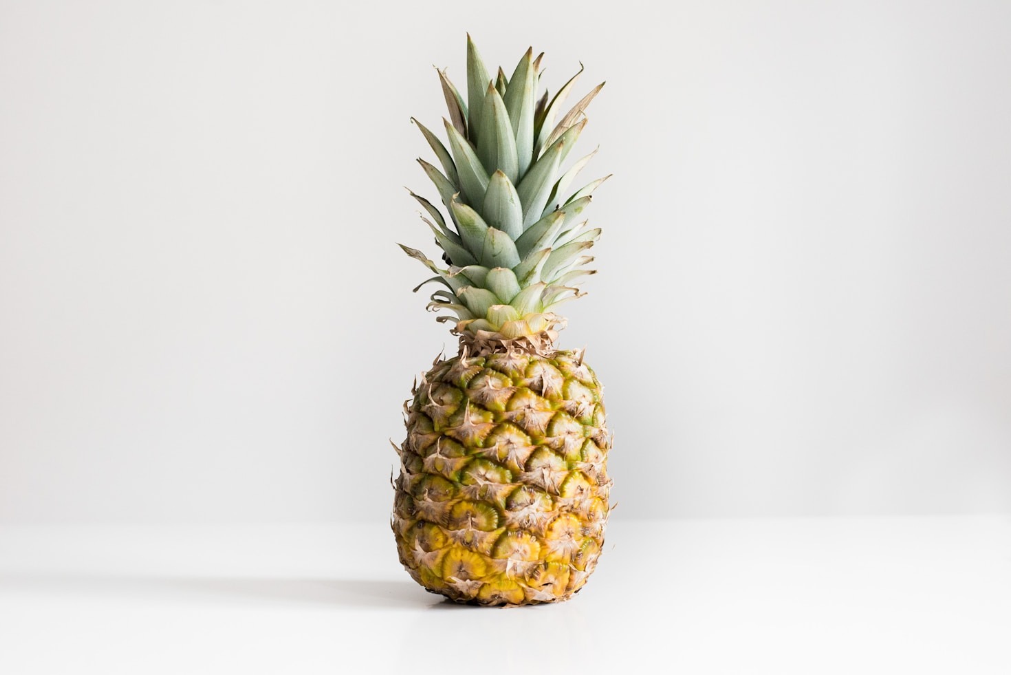 El arte de cultivar frutas dulces y saludables